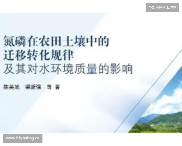 土地储备转化的七个关键要素解析及其对城市发展的深远影响