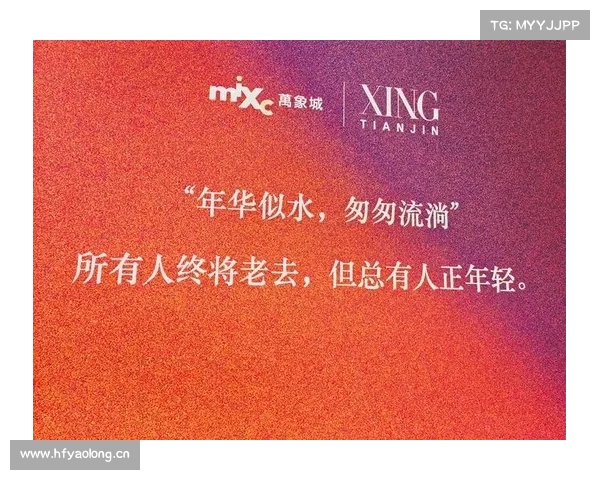 探索归家的温馨时光与心灵归属感的深刻魅力与意义